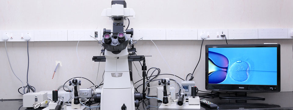 Laser Hatching in Anand, Gujarat,