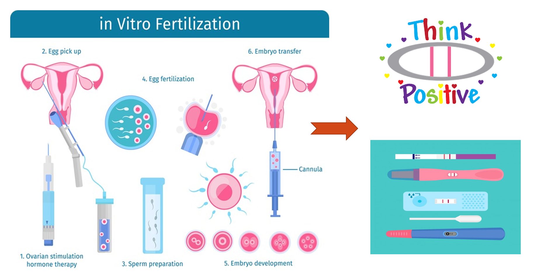 IVF Treatments in Anand, Gujarat (Test Tube Baby in Anand) – Priya IVF ...